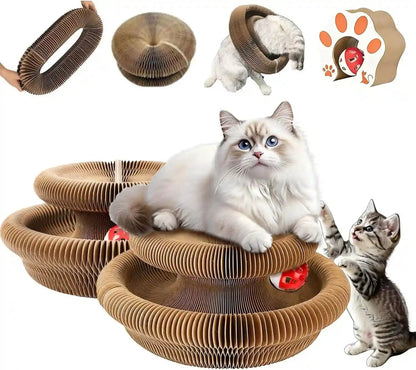 Kitty Curls Cat Toy,Foldable Magic Organ Cat Toy,Magic Organ Cat Scratcher Board,Foldable Recyclable Cat Accordion Toy for Indoor Cat Playing,Interactive Scratch Pad with Toy Ball9