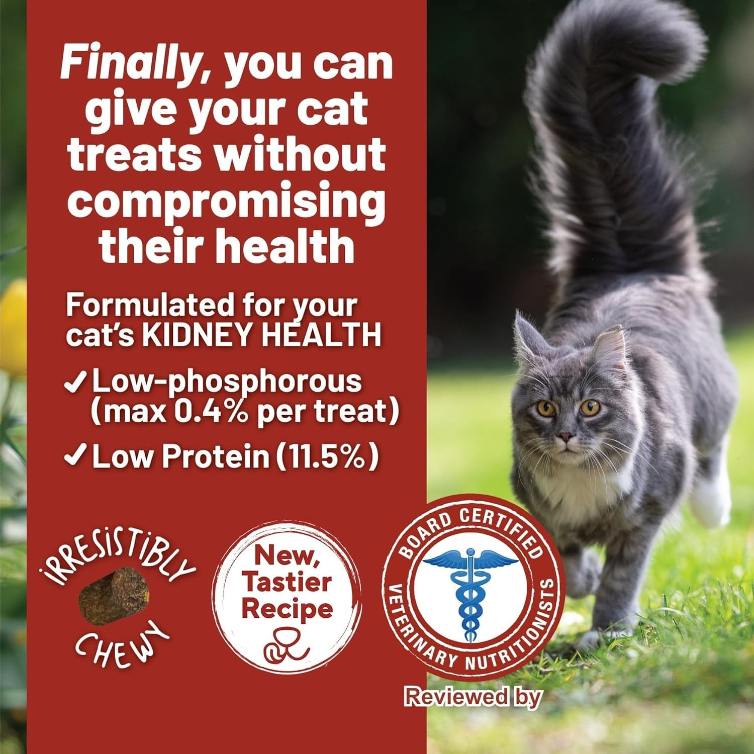 daves-pet-food-renal-cat-treats-for-cat-kidney-support-new-recipe-semi-moist-healthy-treats-with-kidney-support-for-cats-made-in-usa-2-pack
