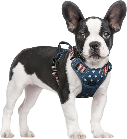 Rabbitgoo Dog Harness, No Pull for Large Dogs with 2 Leash Clips, Pet Vest | No Choke with Handle, Adjustable Soft Padded, Reflective, Easy Control for Walking, Black, Large44