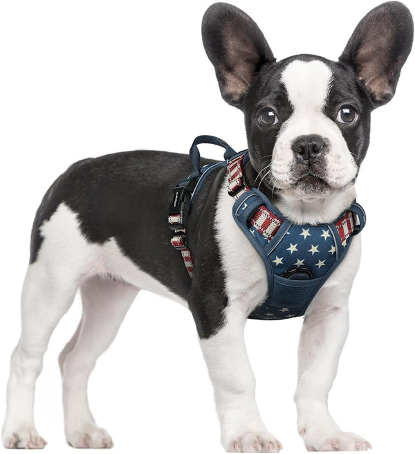 Rabbitgoo Dog Harness, No Pull for Large Dogs with 2 Leash Clips, Pet Vest | No Choke with Handle, Adjustable Soft Padded, Reflective, Easy Control for Walking, Black, Large44