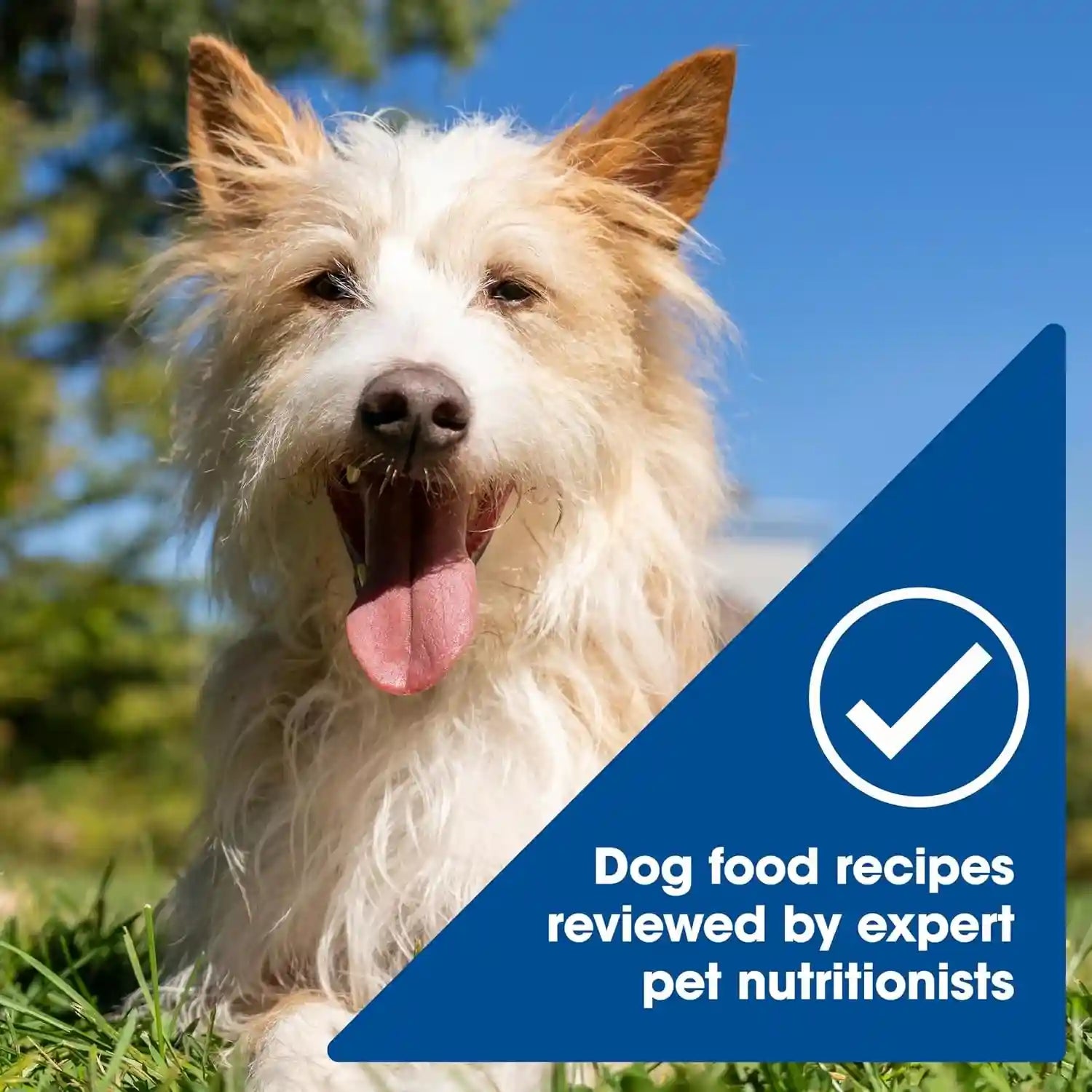 nature-s-recipe-chicken-salmon-and-turkey-recipes-variety-pack-wet-dog-food-12-2-75-oz-cups-2-count