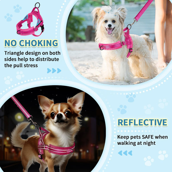 Slowton No Pull Small Dog Harness and Leash Set, Puppy Soft Vest Harness Neck & Chest Adjustable, Reflective Lightweight Harness & Anti-Twist Pet Lead Combo for Small Medium Dogs (Fuchsia, XXS)3