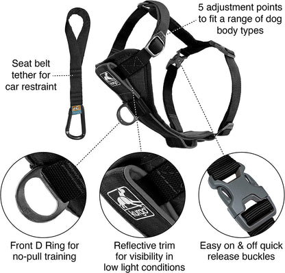 Kurgo Tru-Fit Smart Harness, Black, Small | Dog Walking Harness with Quick Release Buckles, Front & Back Leash Attachments, Reflective Trim, Includes Seatbelt Tether2