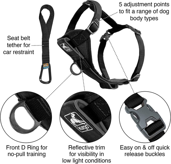 Kurgo Tru-Fit Smart Harness, Black, Small | Dog Walking Harness with Quick Release Buckles, Front & Back Leash Attachments, Reflective Trim, Includes Seatbelt Tether2