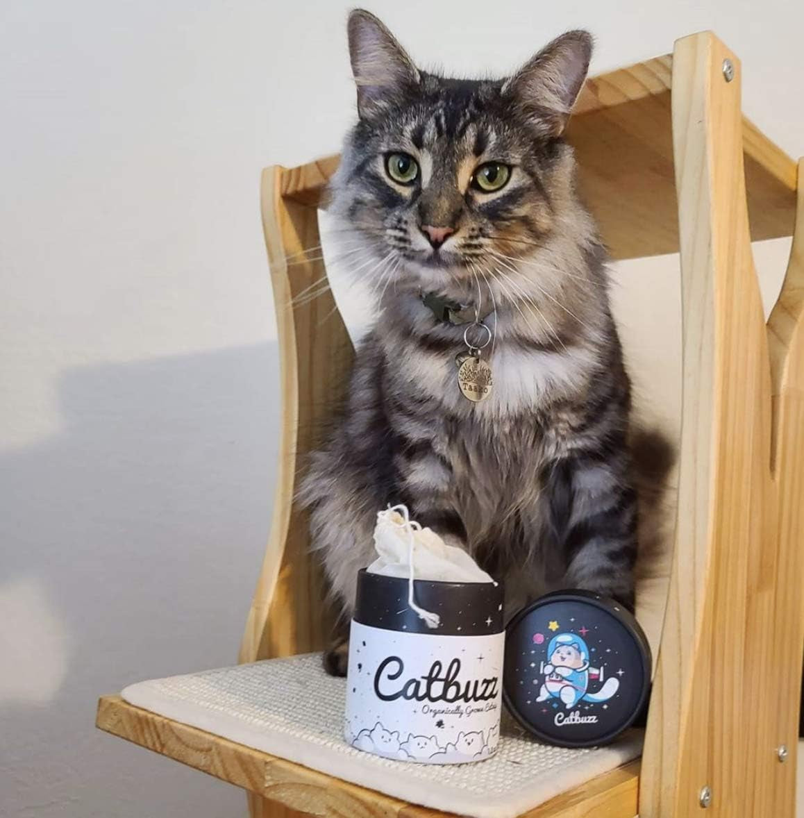 catbuzz-premium-and-organically-grown-catnip-fresh-grown-by-family-farmers-in-the-usa-all-natural-eco-friendly-sustainable