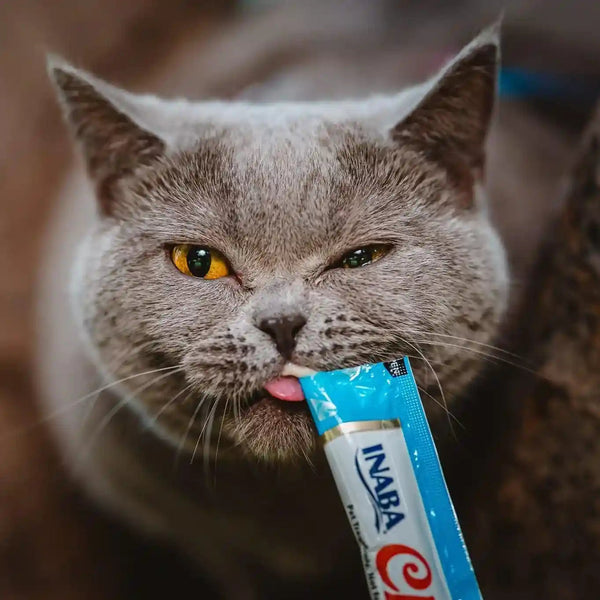 INABA Churu Lickable Purée Natural Cat Treats Tuna & Chicken 3 Flavor Assortment of 12 Tubes4