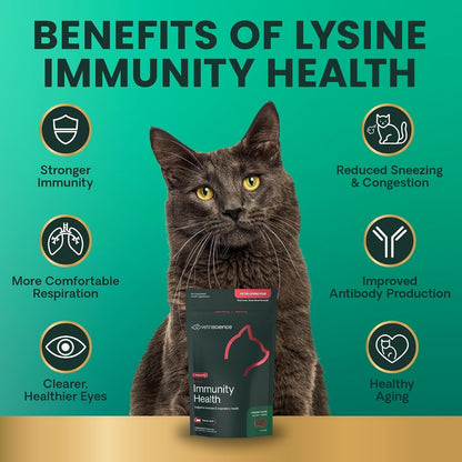 Vetriscience Lysine Immunity Health Chews, 250 Mg Lysine plus Immune Supplement for Cats and Kittens with Allergies, Sneezing, Runny Nose and Watery Eyes, Chicken, 120 Count6
