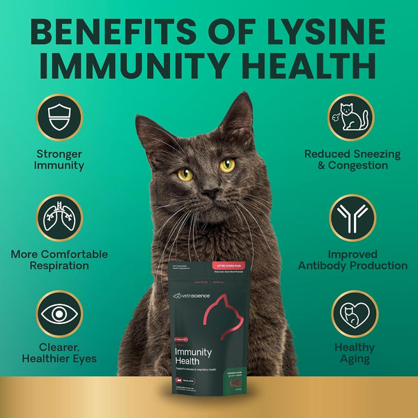Vetriscience Lysine Immunity Health Chews, 250 Mg Lysine plus Immune Supplement for Cats and Kittens with Allergies, Sneezing, Runny Nose and Watery Eyes, Chicken, 120 Count6