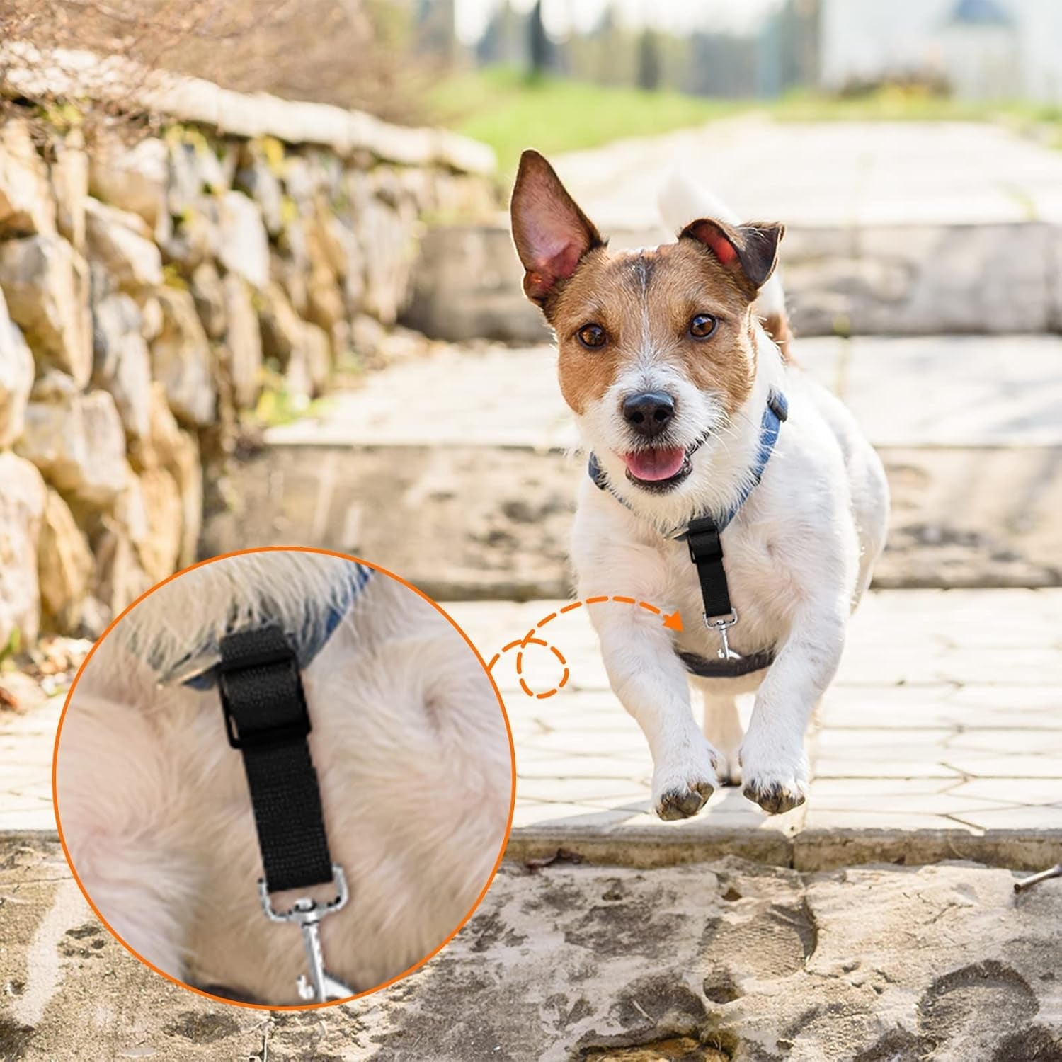 saintrygo-8-pieces-dog-collar-clip-prong-collar-safety-clip-adjustable-nylon-backup-harness-connector-double-ended-backup-clasp-for-dog-harness-petcute-colors