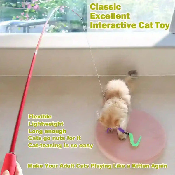Fluffy cat playing with interactive wand toy on pink mat near window2