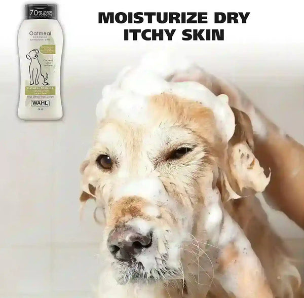 Golden retriever being bathed with oatmeal shampoo for dry itchy skin relief, gentle pet grooming2