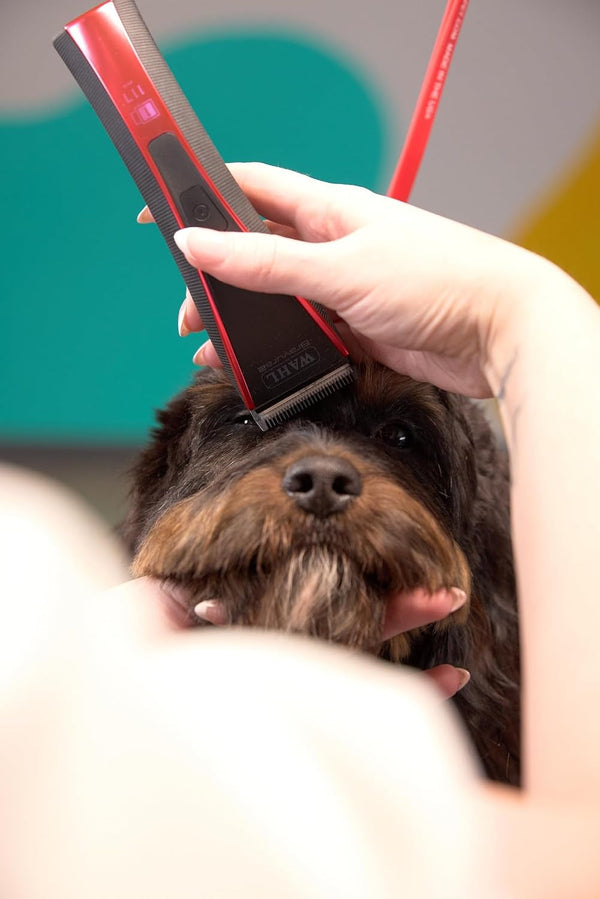 Wahl Pro Animal Bravura2 - Cordless Professional Pet Clipper for Dogs, Cats & Horses - Multi-Speed - Durable & Easy to Carry - USB Charging - Travel-Friendly - Comfortable Grip - Brilliant Rose7