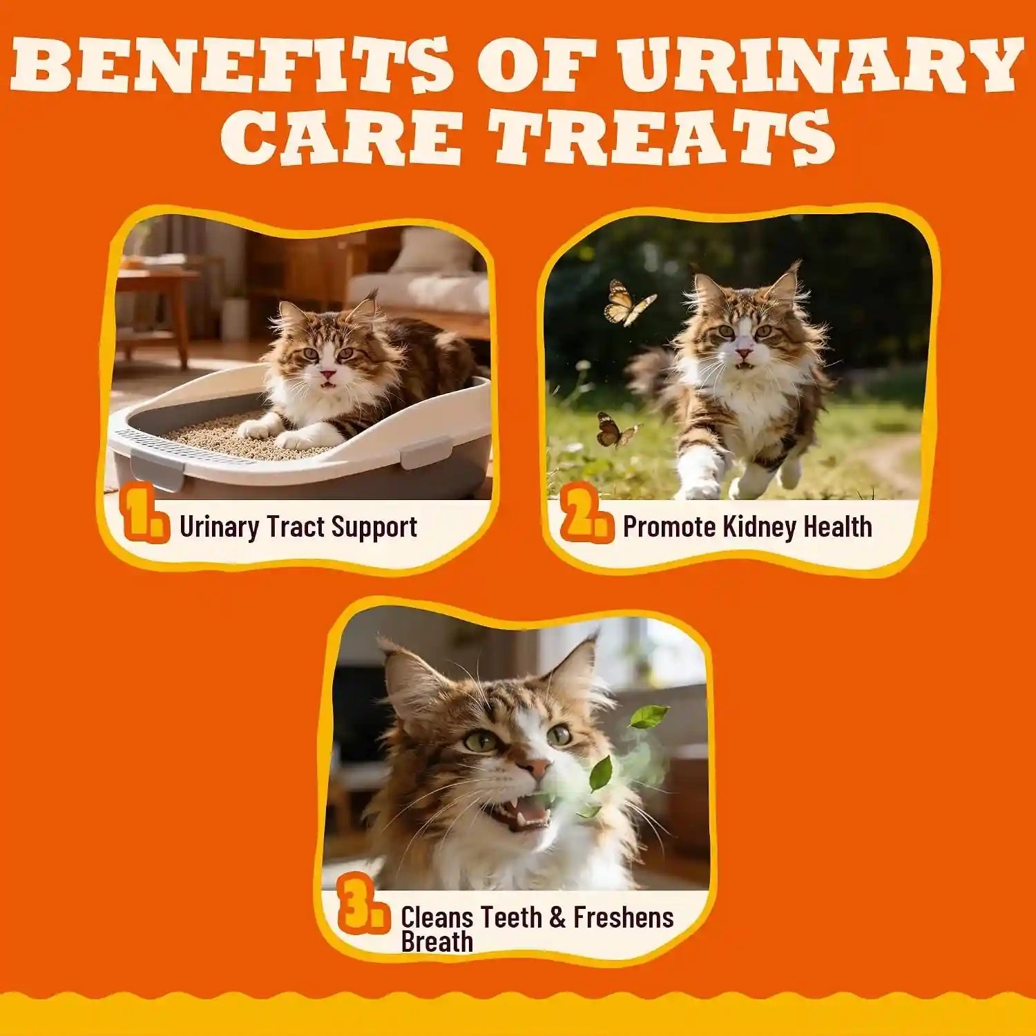9-oz-urinary-care-treats-with-kidney-support-for-indoor-cats-chicken-flavor-treats-clean-teeth-reduce-plaque-and-freshen-breath-while-supporting-urinary-and-kidney-health-for-all-cats
