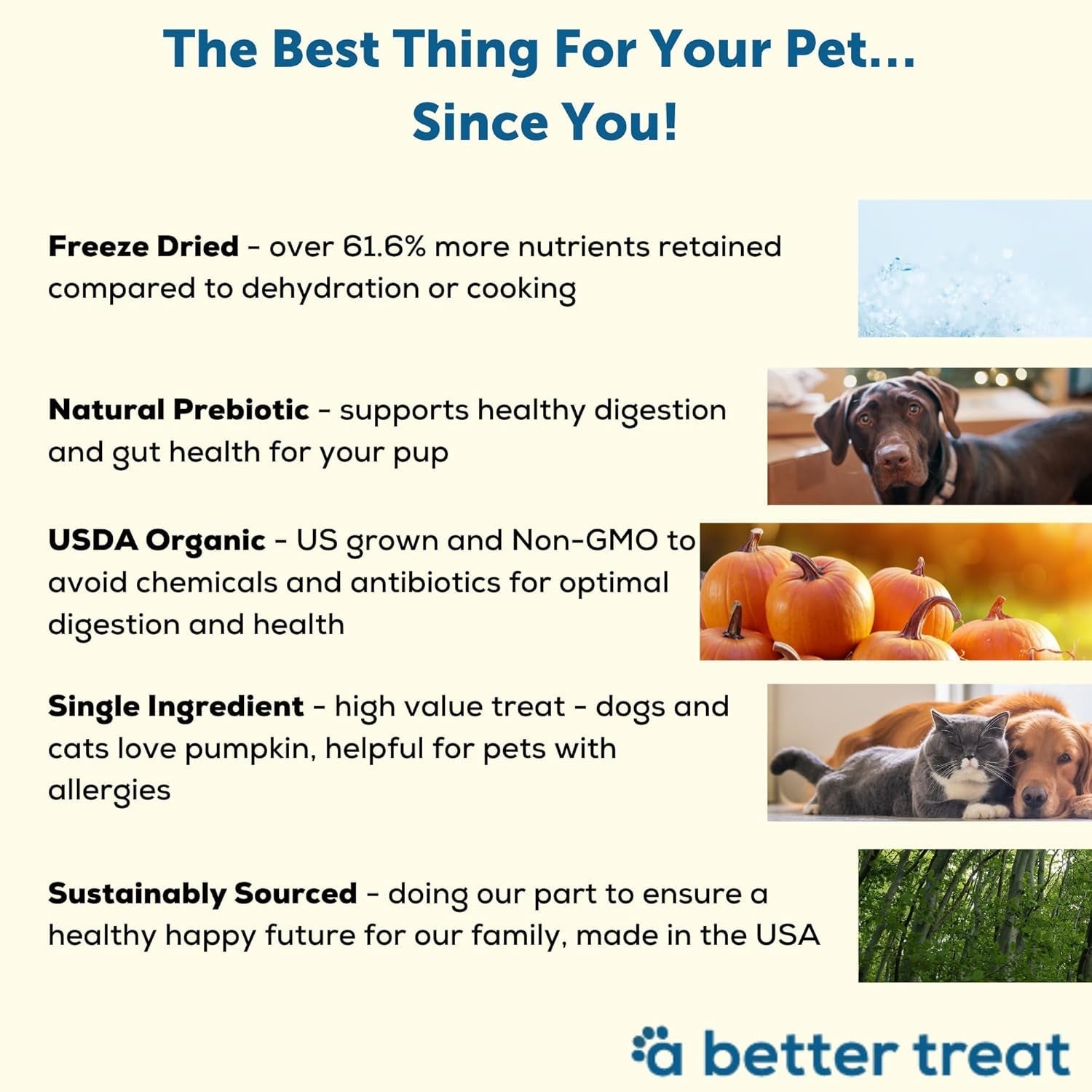 a-better-treat-freeze-dried-organic-pumpkin-dog-and-cat-treats-organic-single-ingredient-natural-healthy-diabetic-friendly-made-in-the-usa
