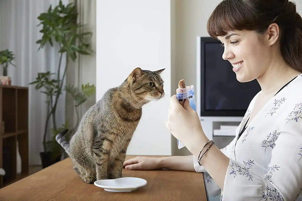 INABA USA504 Ciao Grilled Cat Treat with Added Vitamin E, One Size/0.5 Oz5