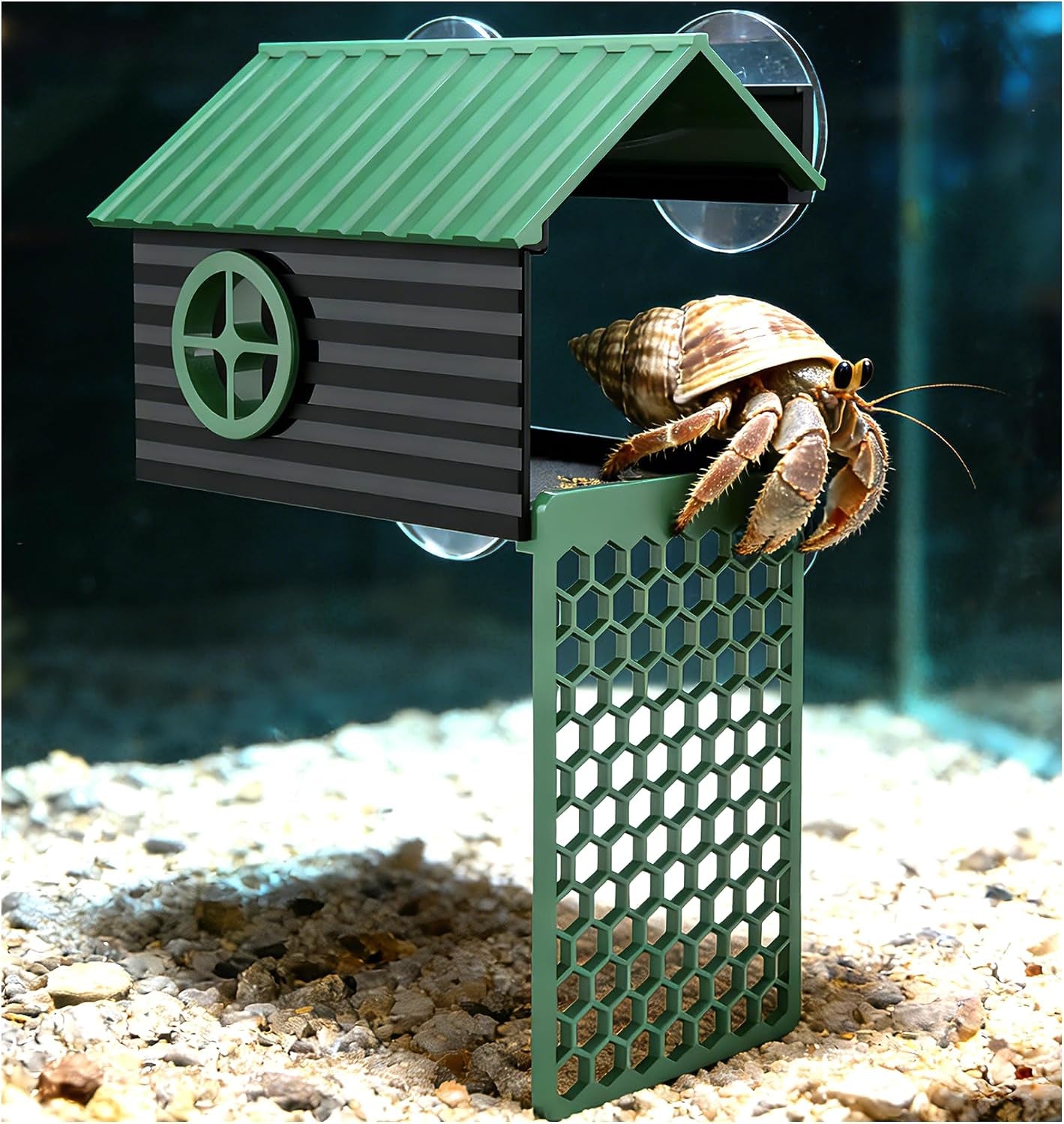 multi-functional-hermit-crab-hideaway-hermit-crab-foraging-cave-with-ladder-hermit-crab-climbing-wall-toy-hideout-decoration-accessories-also-suitable-for-lizards-and-tarantulas