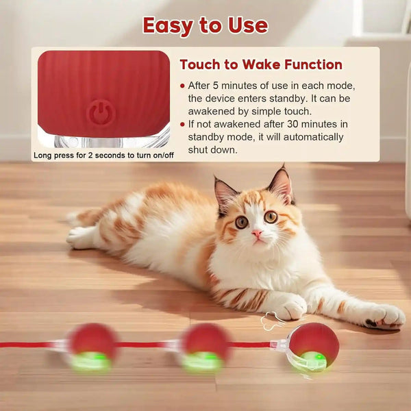 Interactive Dog & Cat Electric Active Toys, Smart Rolling Ball for Dogs & Cats, 360° Smart Automatic Rolling Pet Ball, Fast Moving Toy for Bored Indoor Kitty, Rechargeable(Red)4