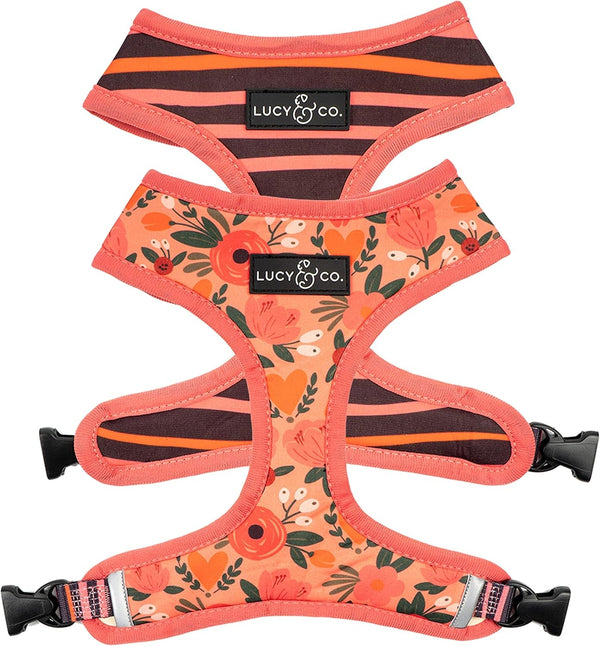 Lucy & Co. Reversible Dog Harness - Water-Repellent Neoprene, Dual-Print Design, Easy Swap Style, Adjustable Comfort Fit - Take a Bow Reversible Harness - Small12