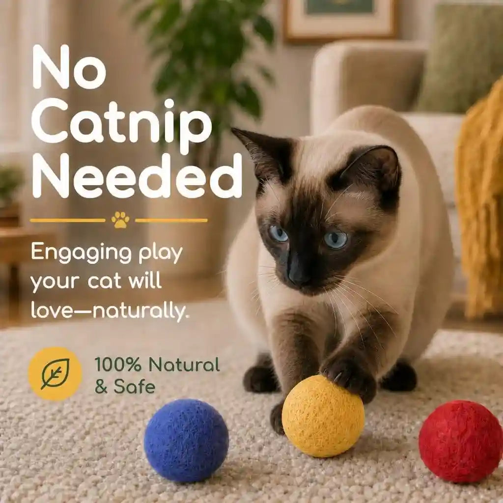 wool-cat-balls-safe-silent-felt-ball-toys-fun-colorful-soft-quiet-wool-kitty-toys-unique-for-cat-lovers-6-pcs-hand-made-in-nepal