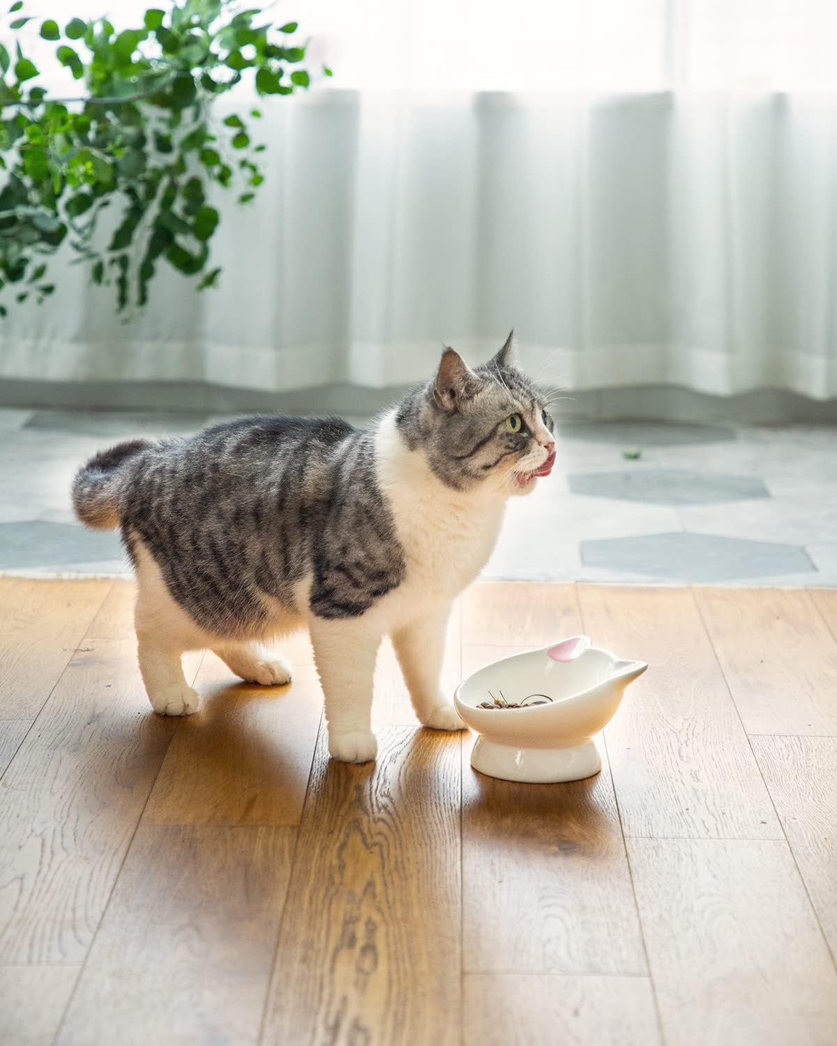 raised-cat-food-bowl-ceramic-15-tilted-cat-food-bowls-protect-cats-spine-anti-vomiting-backflow-prevention-bowls-for-adult-kitty-kitten-and-small-dogs-pink