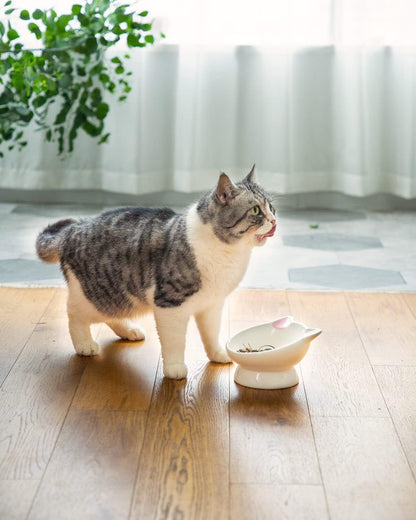 Raised Cat Food Bowl Ceramic 15° Tilted Cat Food Bowls Protect Cat'S Spine anti Vomiting Backflow Prevention Bowls for Adult Kitty, Kitten, and Small Dogs, Pink7