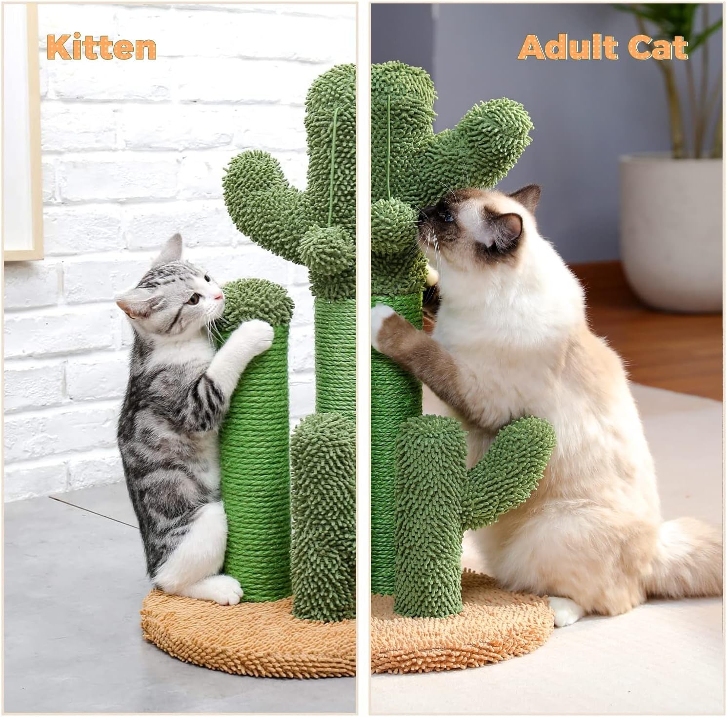 pawz-road-cactus-cat-scratching-post-23-cat-scratcher-with-toy-ball-cactus-cat-tree-with-3-sisal-carpet-scratching-posts-soft-carpet-base-top-interactive-ball-for-indoor-cats