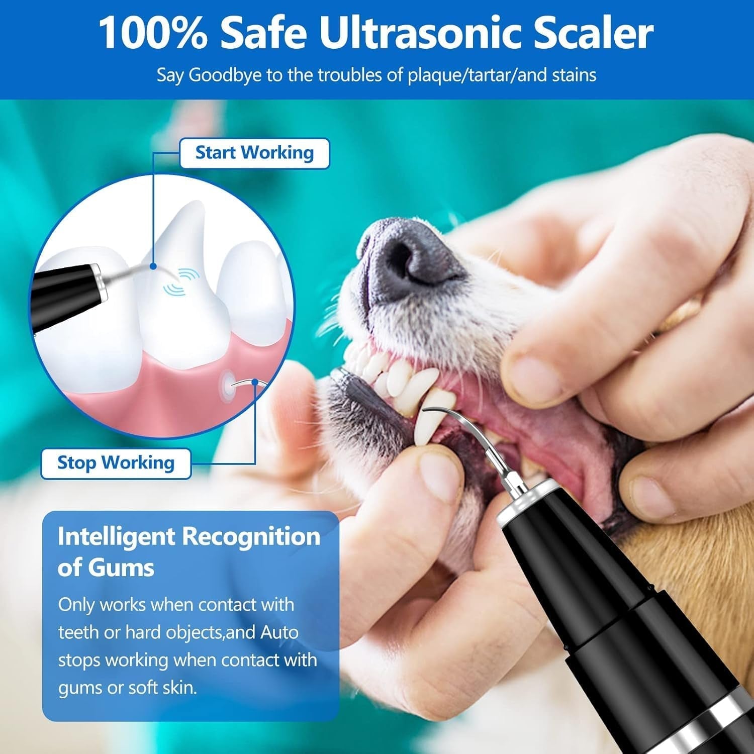 ni-shen-plaque-remover-for-teeth-pet-ultrasonic-cleaner-teeth-cleaning-kit-for-tartar-and-stains-suitable-for-dogs-and-cats-black