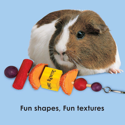 Kaytee Perfect Chew Guinea Pig4