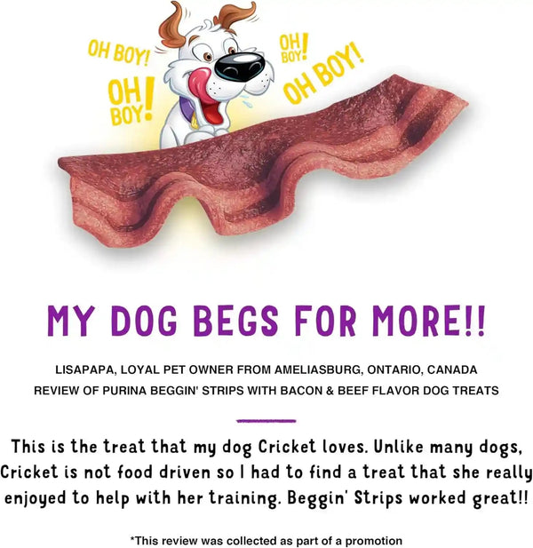 Purina Beggin' Strips with Real Meat Dog Treats with Bacon and Beef Flavors - (Pack of 2) 26 Oz. Pouches8