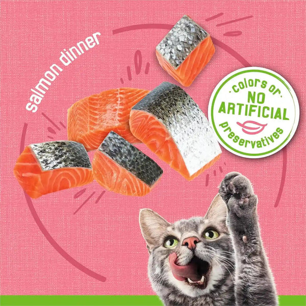 Purina Friskies Wet Cat Food Pate, Pate Salmon Dinner - (Pack of 24) 5.5 Oz. Cans3