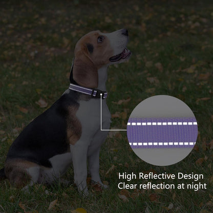 Reflective Dog Collar Padded with Soft Neoprene Breathable Quick Release Basic Dog Collars for Medium Dogs Purple Girl5