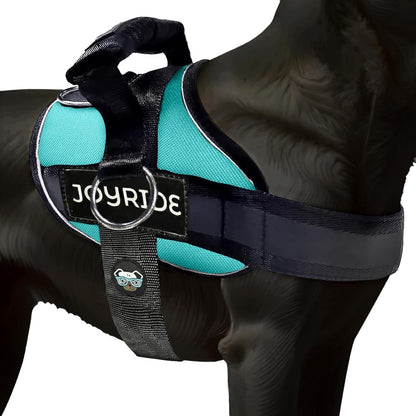 Joyride Dog Harness 2.0 | No-Pull | Blue 2.0 | M | Reflective No-Choke Quick-Fit Vest with 3 Leash Clips and Escape-Resistant Design for Easier Walks and Training13