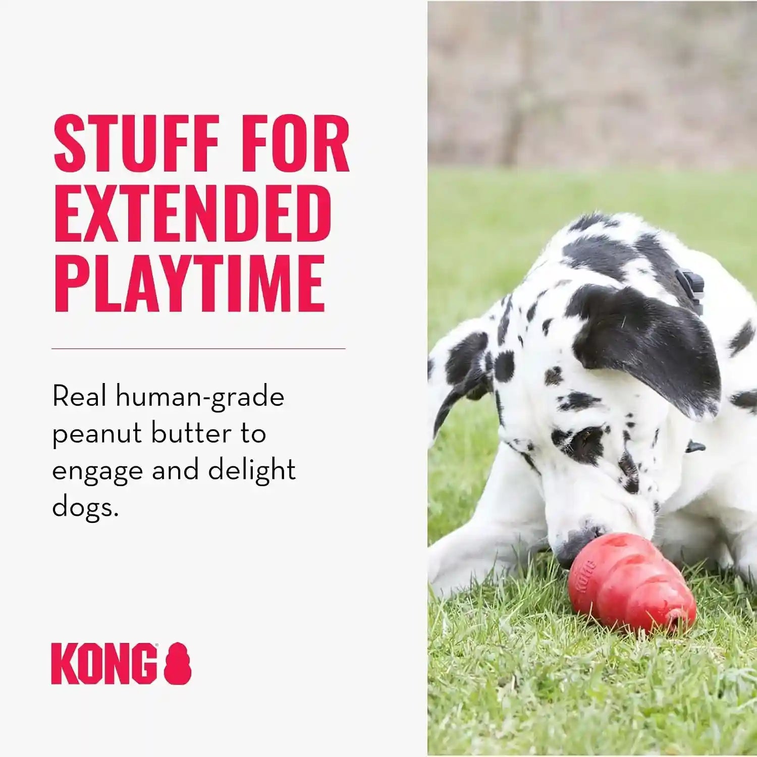 kong-stuffn-paste-for-stuffing-dog-treats-healthy-with-natural-ingredients-creamy-dog-treat-in-tube-peanut-butter-5-oz-sweet-potato-5-oz