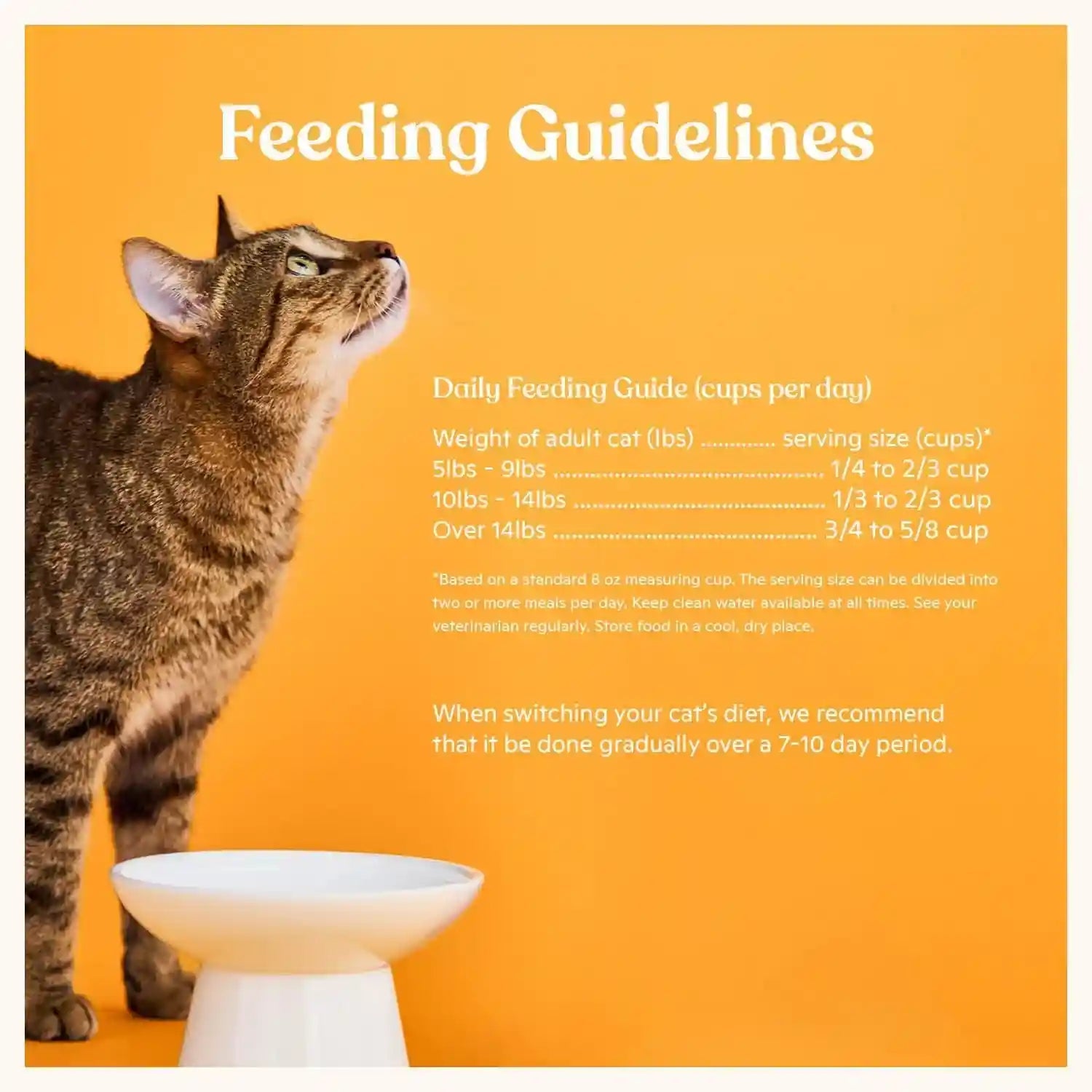 made-by-nacho-dry-cat-kibble-4lb-bag-high-protein-and-grain-friendly-premium-cat-food-cage-free-chicken-pumpkin-recipe-infused-with-bone-broth-for-hydration-limited-ingredients-single-bag