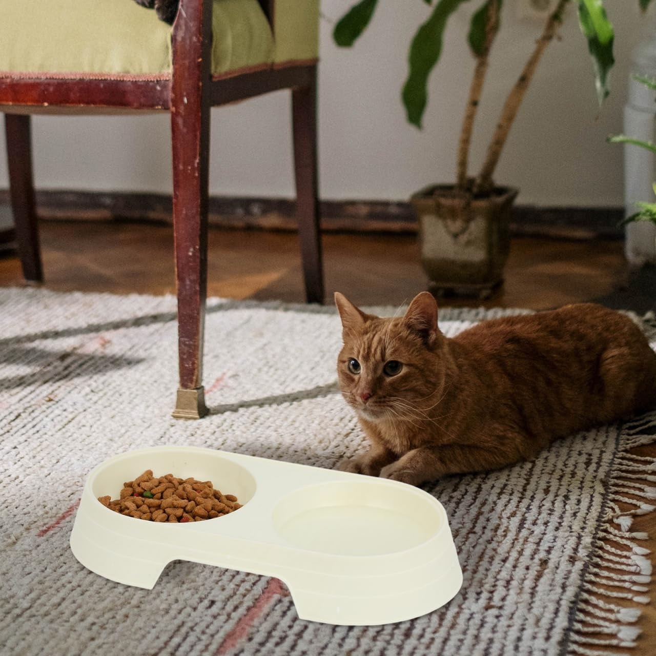 luxshiny-pet-feeder-8pcs-anti-tip-double-feeding-bowls-elevated-cat-food-and-water-dishes-with-stable-design-for-healthy-eating-posture