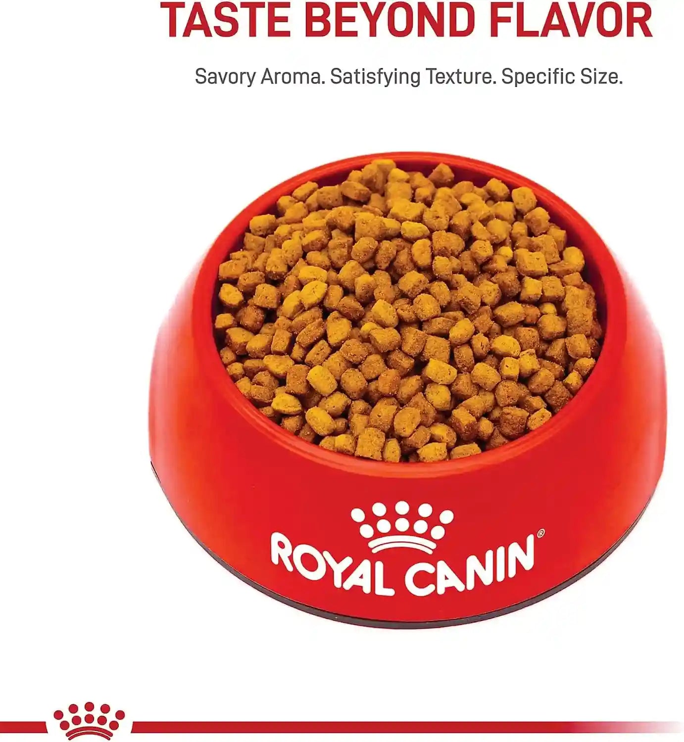 royal-canin-breed-health-nutrition-dachshund-puppy-dry-dog-food-2-5-lb-bag-specialized-nutrition-for-dachshund-puppies-supports-healthy-growth-tailored-kibble-shape-2-5-pound-bag