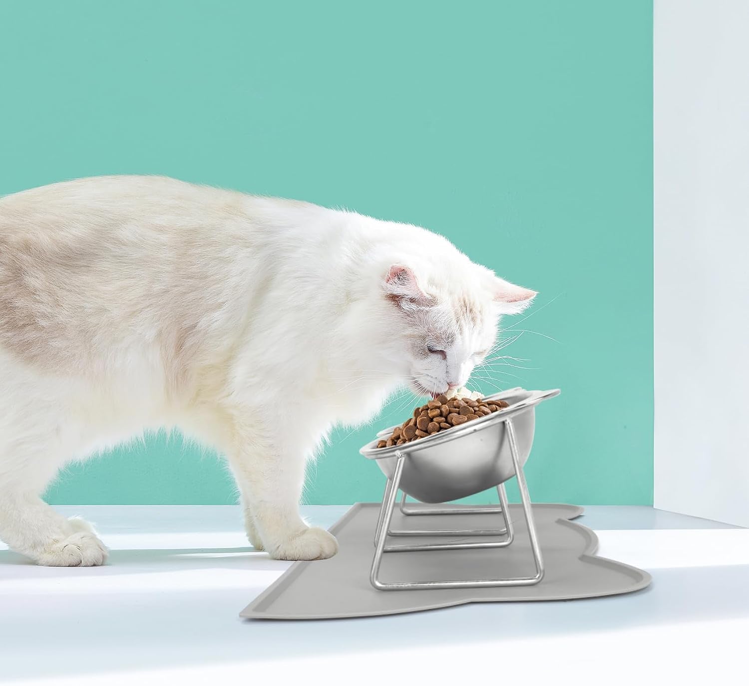 elevated-cat-bowls-2-pack-raised-cat-food-water-bowls-with-non-slip-placemat-15-tilted-stand-anti-vomiting-stainless-steel-pet-food-feeding-dishes-plate-for-cats-kitten-puppies-dogs-small-animals