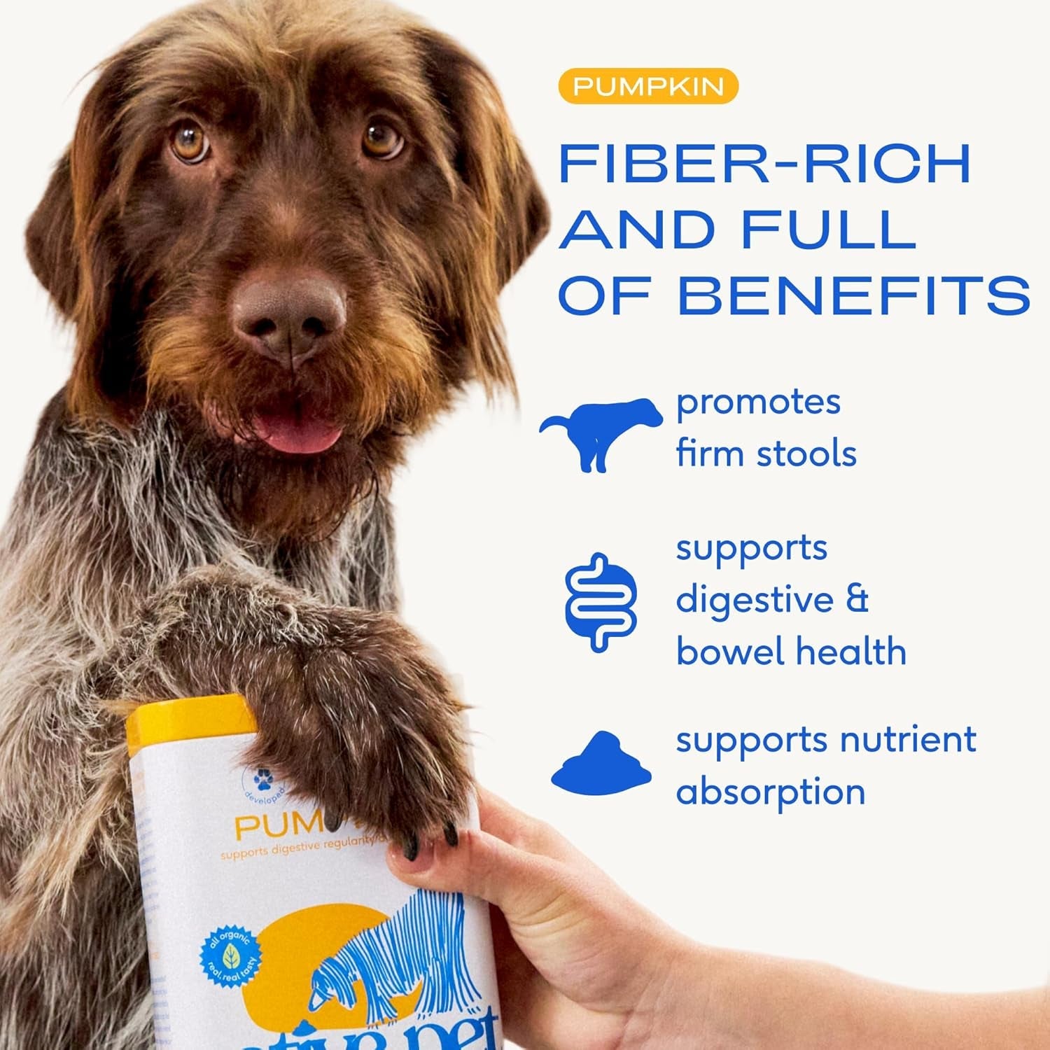 native-pet-goat-milk-powder-for-dogs-120-scoops-pumpkin-powder-for-dogs-60-scoops-organic-goat-milk-food-topper-for-a-healthy-digestive-system-organic-pumpkin-fiber
