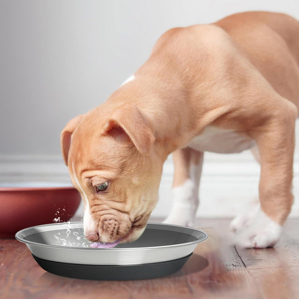 2 Packs Premium Stainless Steel Dog Bowls - Non-Slip, 2.5 Cups Capacity, Durable and Safe for Your Beloved Pet6
