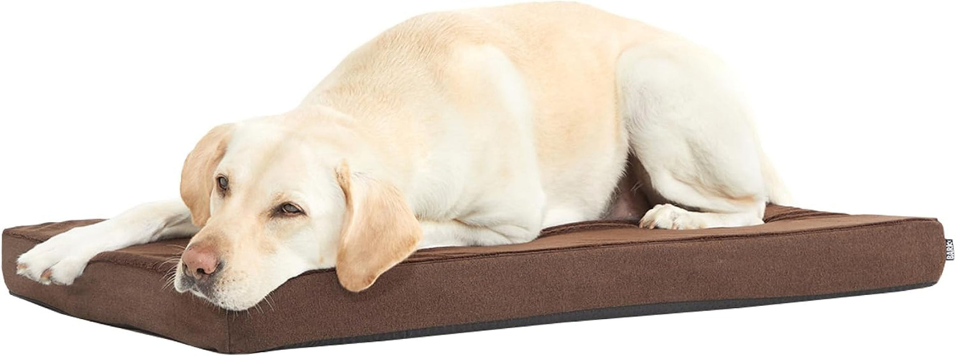 barkbox-orthopedic-dog-bed-large-with-memory-foam-comfortable-durable-machine-washable-pet-bed-grey
