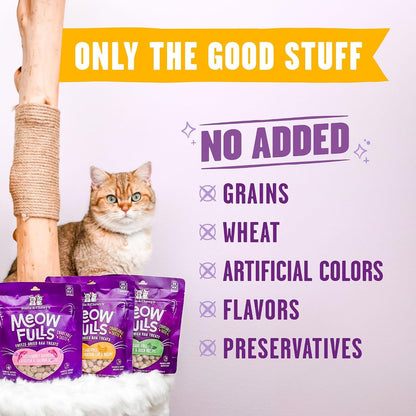 Stella & Chewy'S Meowfulls Freeze Dried Cat Treats - Chicken & Chicken Liver Recipe - Raw Protein with Probiotics & Salmon Oil - 1 Calorie per Treat - 1.5 Oz6