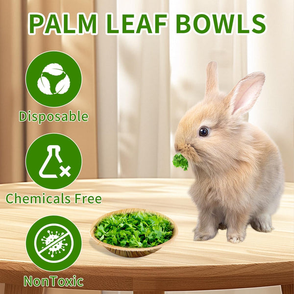 30 Pcs Disposable Palm Leaf Bowls 4 Inch Bowl for Rabbits, Compostable like Bamboo Bowls Disposable Bowl Bunny Chew Toys Chewable Dish for Rabbits & Bunnies,Small Pets3