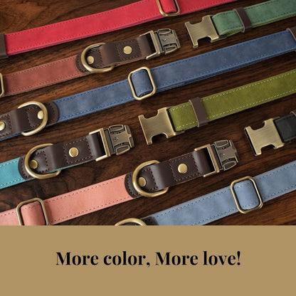Didog PU Leather Dog Collar for Small Dogs Puppy, Soft Lining, Green S | All-Day Comfort for Daily Walks and Backyard Play, Quick Release Metal Buckle for Easy on & Off, D-Ring for Leash, Easy Clean5