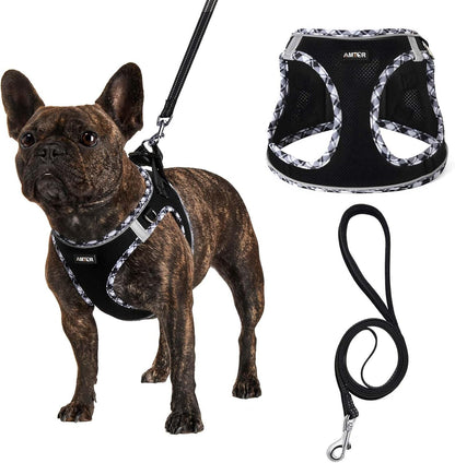 AMTOR Small Dog Harness with Leash Set, No Escape Easy Walk Puppy Harnesses for Training Walking, Step-In Reflective Soft Dogs Vest for XS S Medium Extra-Small Large Sized Dog(Green,S)27