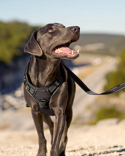 Joytale No Pull Dog Harness Medium Sized Dog, Front Clip, Black | Grab Handle for Instant Control, Padded & Adjustable Vest, Sturdy Metal D-Rings, for Safe Training & Daily Walking6