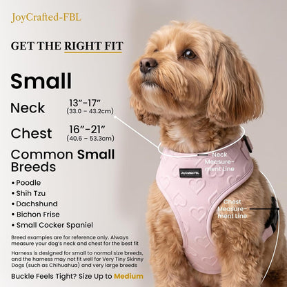 No Pull Harness & Leash Set for Small Sized Dogs, Soft Padded Breathable Neoprene Harnesses, Lightweight Adjustable Step-In Vest with Cute Heart Print & Secure Back D-Ring, Neck 13-17", Chest 16-21"2