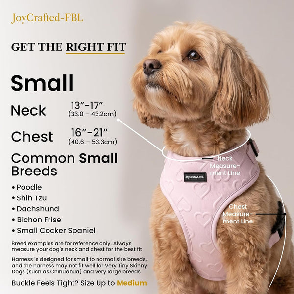 No Pull Harness & Leash Set for Small Sized Dogs, Soft Padded Breathable Neoprene Harnesses, Lightweight Adjustable Step-In Vest with Cute Heart Print & Secure Back D-Ring, Neck 13-17", Chest 16-21"2