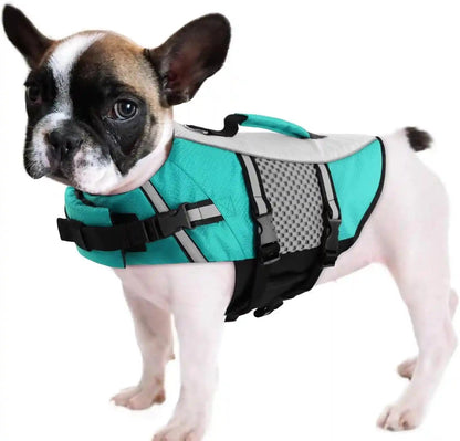 Queenmore Dog Life Jacket Small Float Vests for Swimming Boating Kayaking Mediumn Puppy Dogs Cats Neoprene Life Preserver Pet Water Lifesaver Lightweight Reflective Green,L10