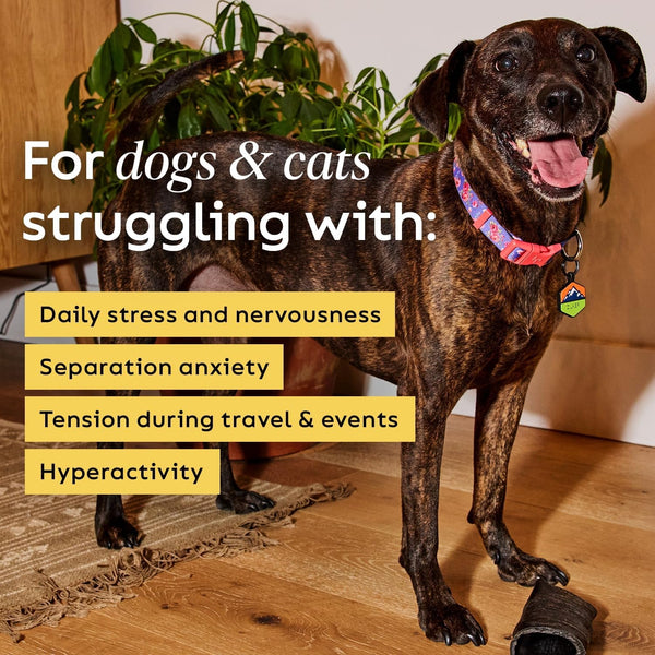 Chill + Out– 30 Soft Chews – Calming Chews for Dogs and Cats Help Maintain Your Pet’S Emotional Balance – Made in the USA4