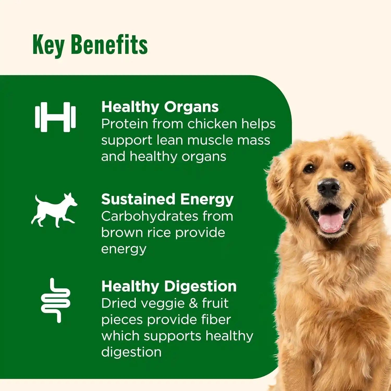 nutrish-dish-chicken-brown-rice-recipe-with-veggie-fruit-blend-dry-dog-food-3-75-lb-bag-rachael-ray